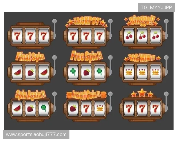 老虎机专卖店:专业团队为客户提供定制化的老虎机设备解决方案